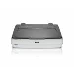 IT, Office Automation & Managed Print