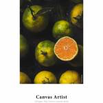 Digital Printing Media