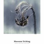 Digital Printing Media