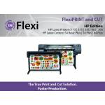SAI Flexi